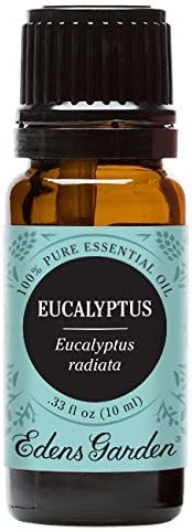 Edens Garden Eucalyptus- Radiata Essential Oil- 100% Pure Premium Grade - Image 4