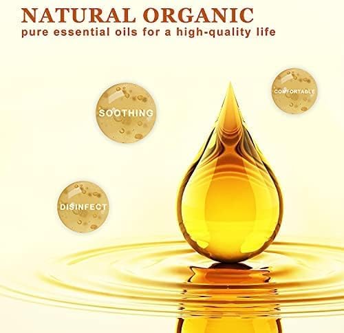 Blueberry Essential Oil, Pure Oganic Plant Natrual Scents Essential Oil - Image 5