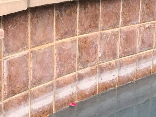 Piranha Water Pool Tile and Shower Calcium Descaling Spray - Image 6