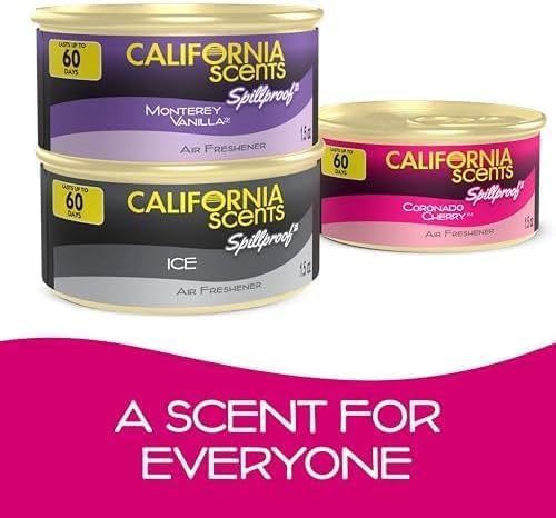Can Air Freshener and Odor Neutralizer by California Scents, Stocking Stuffers - Image 6