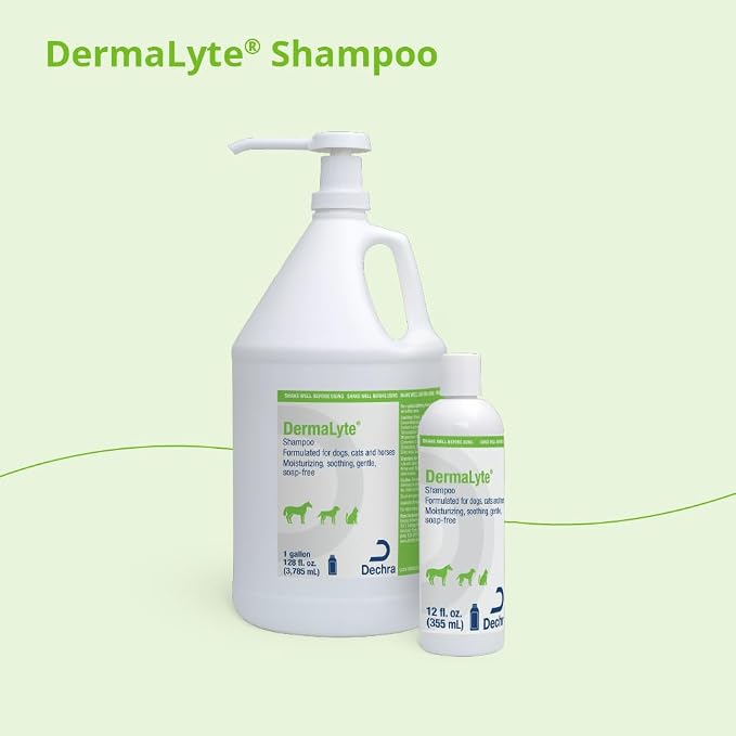 Shampoo, 12 Ounce - Image 4