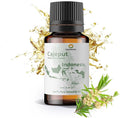 Cajeput Essential Oil by NaturePackaged