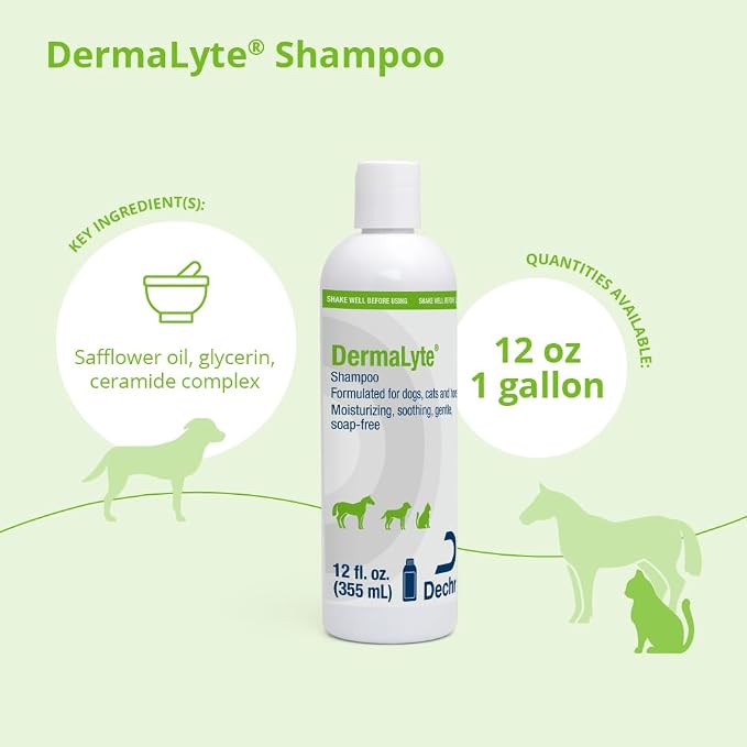 Shampoo, 12 Ounce - Image 2
