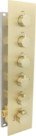HOMEDEC Multi Function Shower Diverter Valve by HOMEDEC