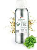 Coriander Essential Oil by NaturePackaged