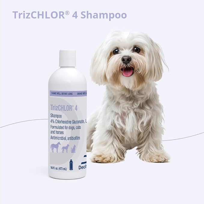 4 Shampoo for Dogs, Cats and Horses, 16 Ounce - Image 8