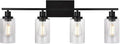 Black 4-Light Bathroom Light Fixtures by WINSHENLighting