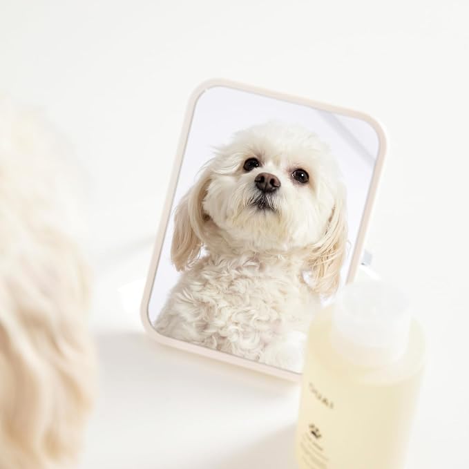 OUAI Fur Bébé Pet Shampoo, Mercer Street Scent - Image 6