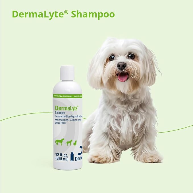 Shampoo, 12 Ounce - Image 7