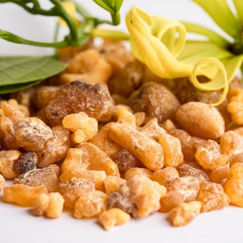 Frankincense Essential Oil - Image 8