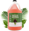 Bark2Basics Deodorizing Dog Shampoo, 1 Gallon | Powerful Odor Neutralizer by Bark2Basics%7CGroomersChoice