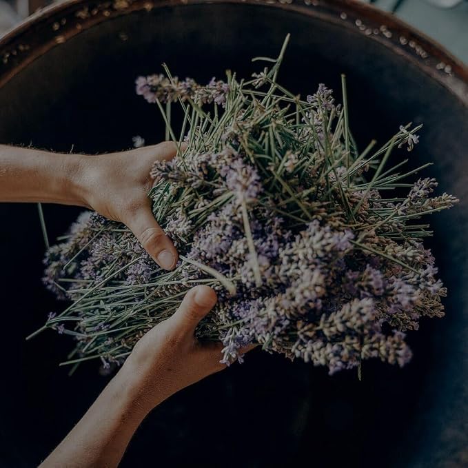 Alpine Provisions Natural Lavender + Juniper Moisturizing Body Wash – Hydrating - Image 3