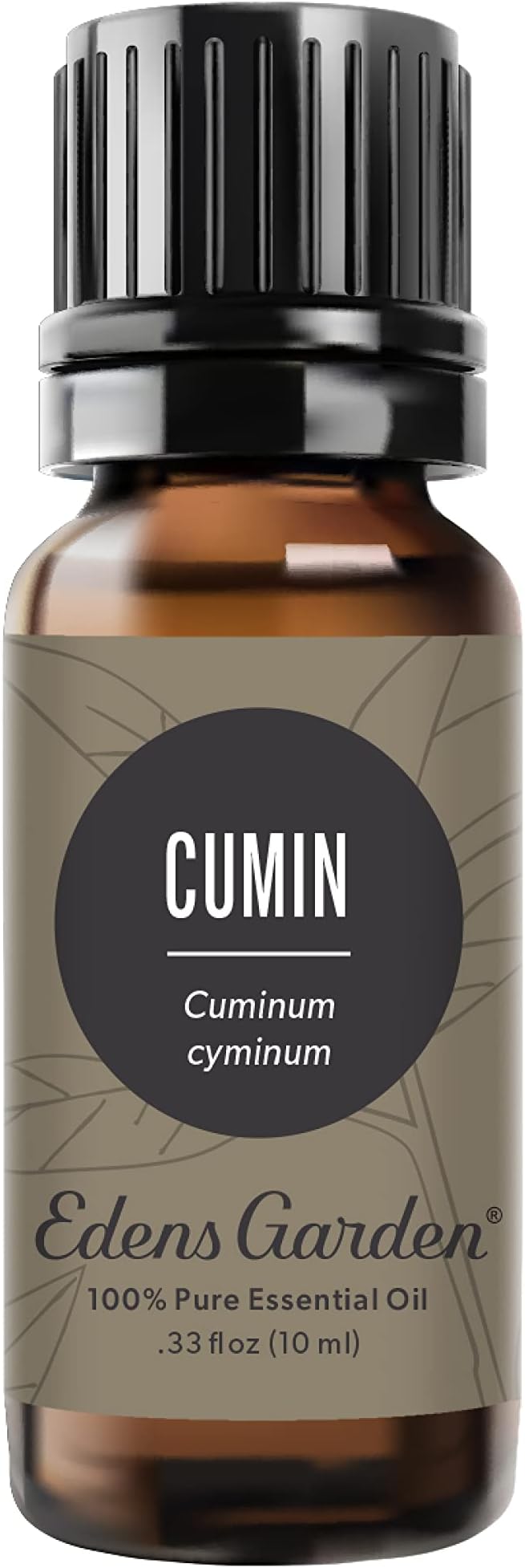Edens Garden Cumin Essential Oil- 100% Pure Premium Grade, Therapeutic by EdensGarden