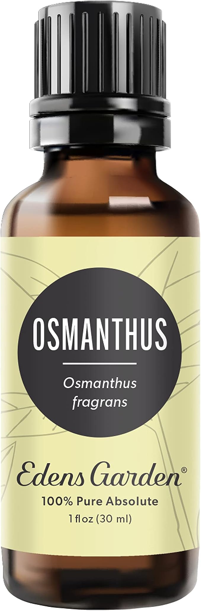 Edens Garden Osmanthus Essential Oil- 100% Pure Premium Grade, Therapeutic by EdensGarden