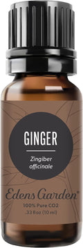 Edens Garden Ginger CO2 Essential Oil- 100% Pure Premium Grade, Therapeutic by EdensGarden