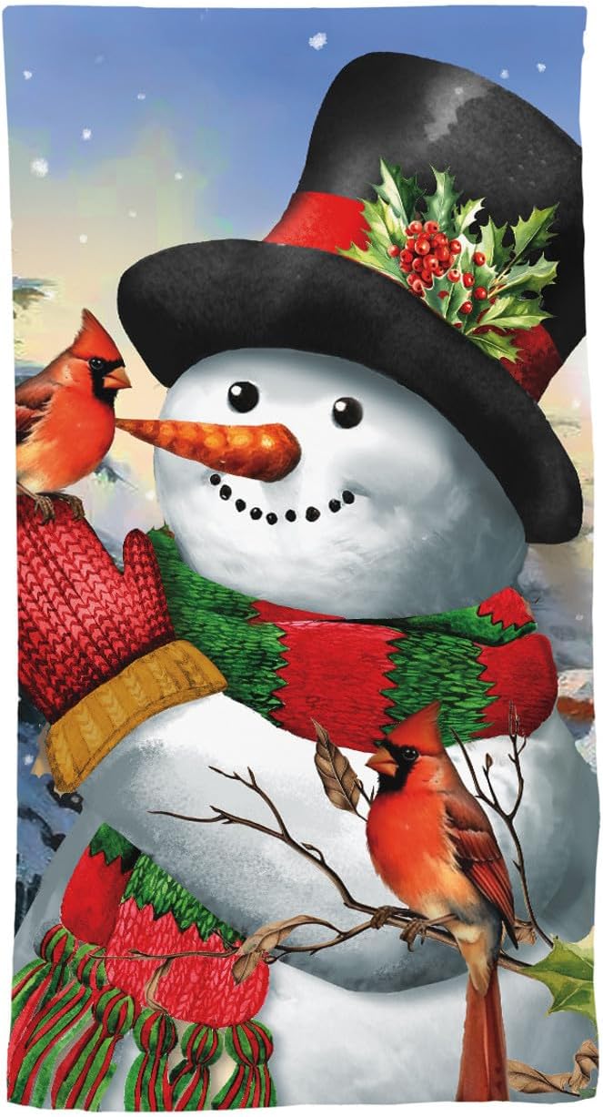 Briarwood Lane Winter Friends Snowman Cotton Hand Towel by BriarwoodLane