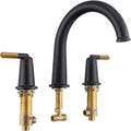 Black & Rose Gold Roman Bathtub Faucet Set by Wintap