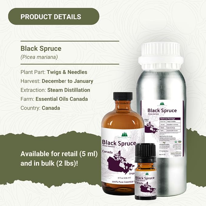 Black Spruce Essential Oil from Canada - Image 3