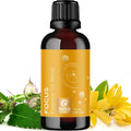 Focus Essential Oil Blend for Diffusers by MapleHolistics