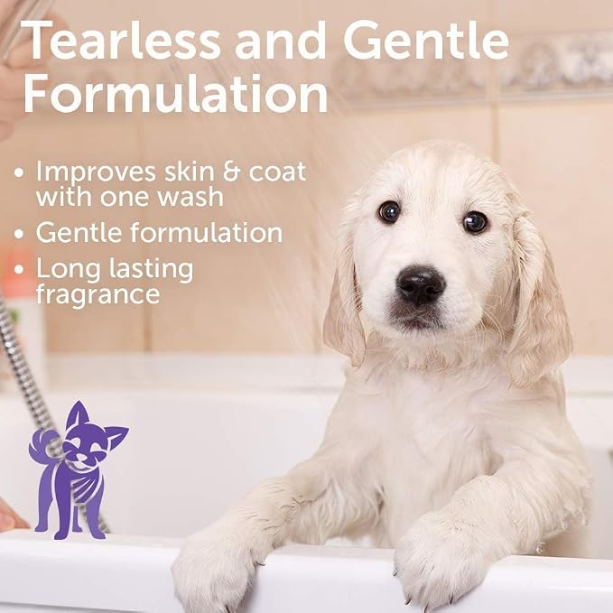 Nootie - Pet Shampoo for Sensitive Skin - Revitalizes Dry Skin & Coat - Natural - Image 3
