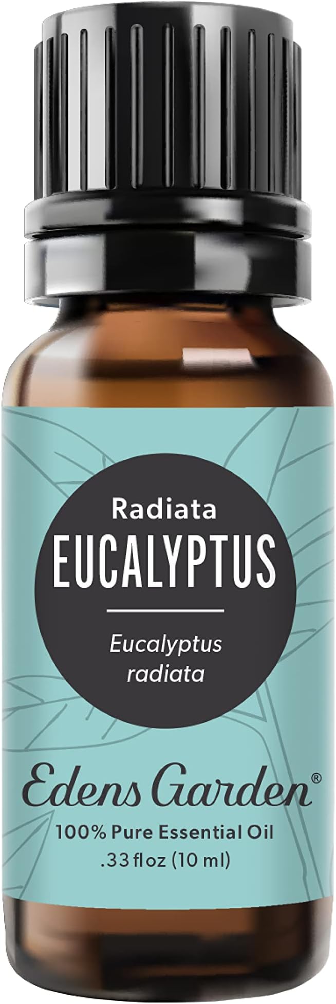Edens Garden Eucalyptus- Radiata Essential Oil- 100% Pure Premium Grade by EdensGarden