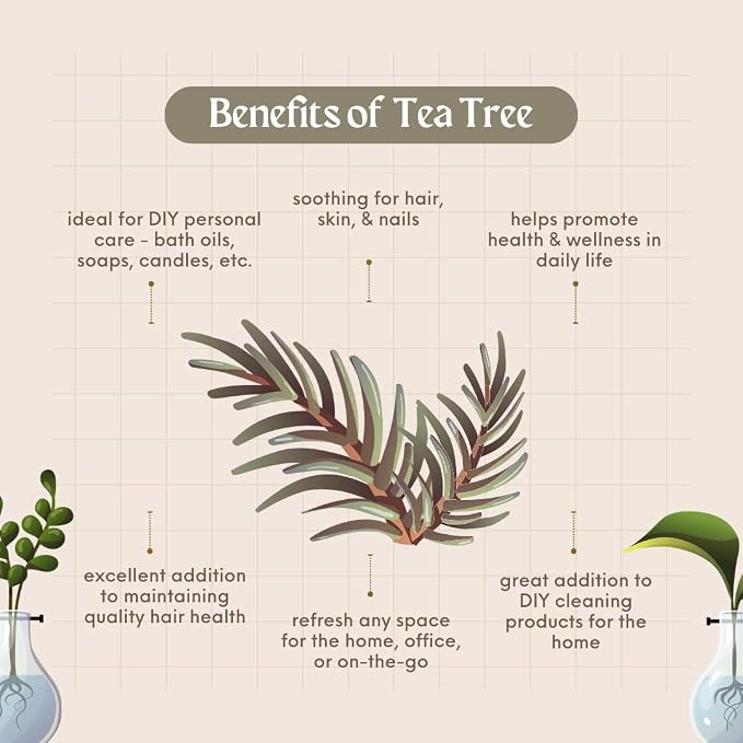 Tea Tree Essential Oil – 16 fl oz – 100% Pure & Undiluted – Steam-Distilled - Image 3