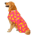 HDE Dog Bathrobe Super Absorbent Quick Drying Puppy Towel Wrap Coat Adjustable by HDE