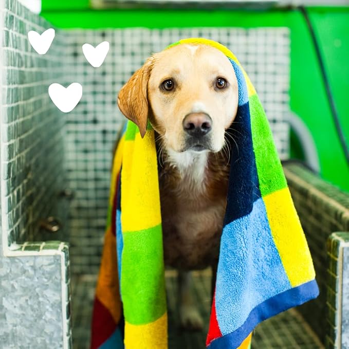 earthbath, Oatmeal & Aloe Dog Shampoo - Image 5
