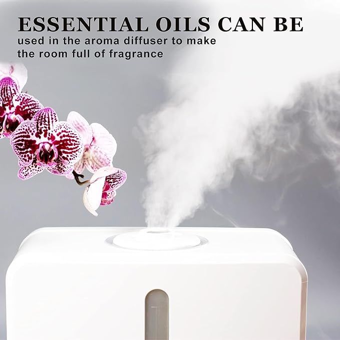 Blueberry Essential Oil, Pure Oganic Plant Natrual Scents Essential Oil - Image 7