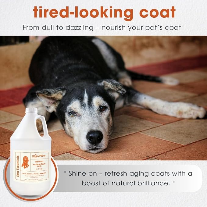 Jasmine & Honey Spa Body Wash for Dogs by Shiny Paw | Dog Itchy Skin Relief & - Image 4
