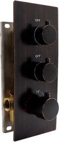 2 Way Shower Diverter Valve Brass Dual Functions Thermostatic Shower Mixing by HOMEDEC