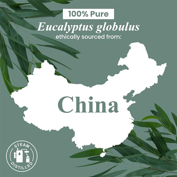 Handcraft Blends Eucalyptus Essential Oil – 0.33 Fl Oz – 100% Pure and Natural - Image 6