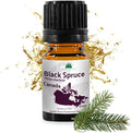 Black Spruce Essential Oil from Canada by NaturePackaged