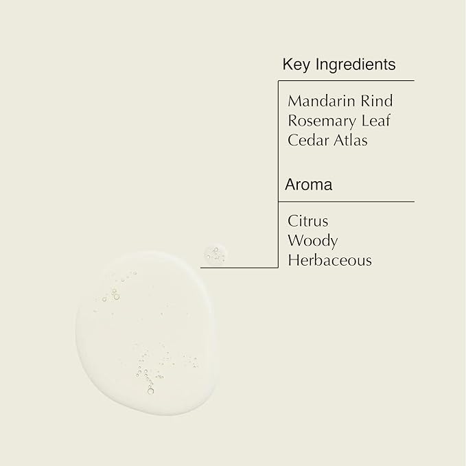 Aesop Aromatique Resurrection & Reverence Hand Wash Set | Liquid Hand Soaps to - Image 3