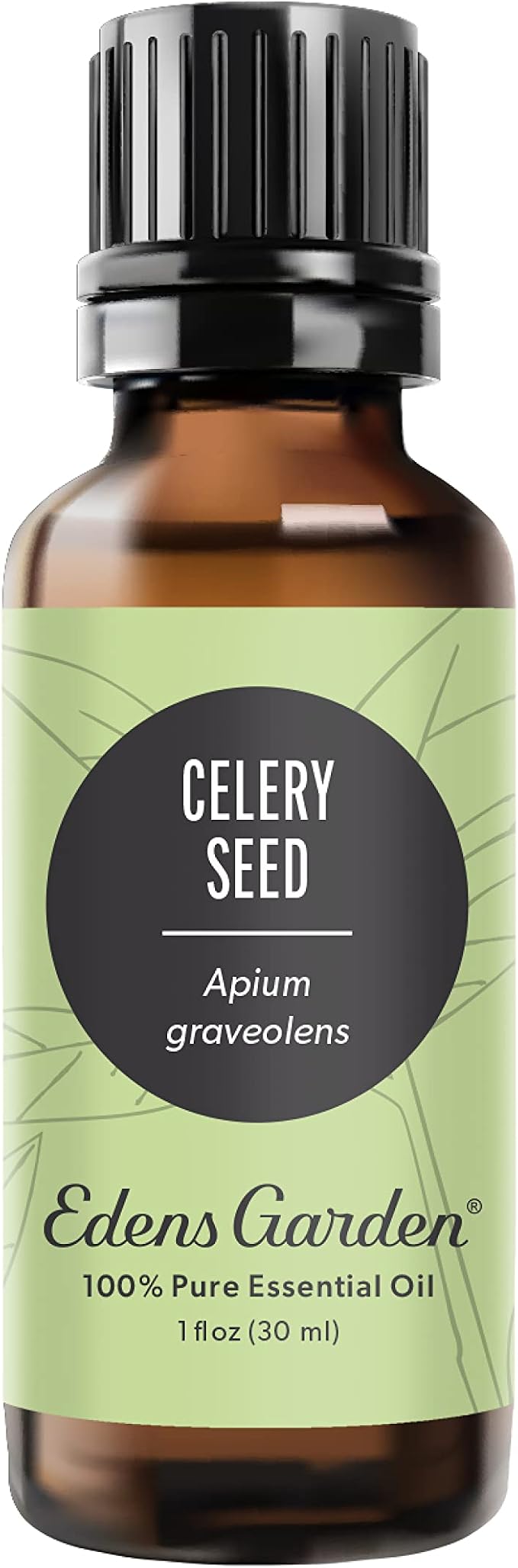 Edens Garden Celery Seed Essential Oil- 100% Pure Premium Grade, Therapeutic by EdensGarden