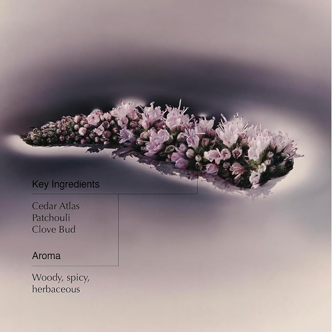 Aesop Eleos Nourishing Body Cleanser | Hydrating Ingredients - Image 3