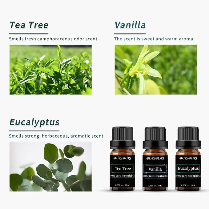 BURIBURI Tea Tree, Eucalyptus and Vanilla Essential Oil Set, 100% Pure 3Pcs - Image 2