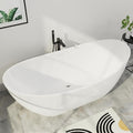 67" Lucite Acrylic Freestanding Bathtub, Double Slipper Shape Contemporary by Mokleba