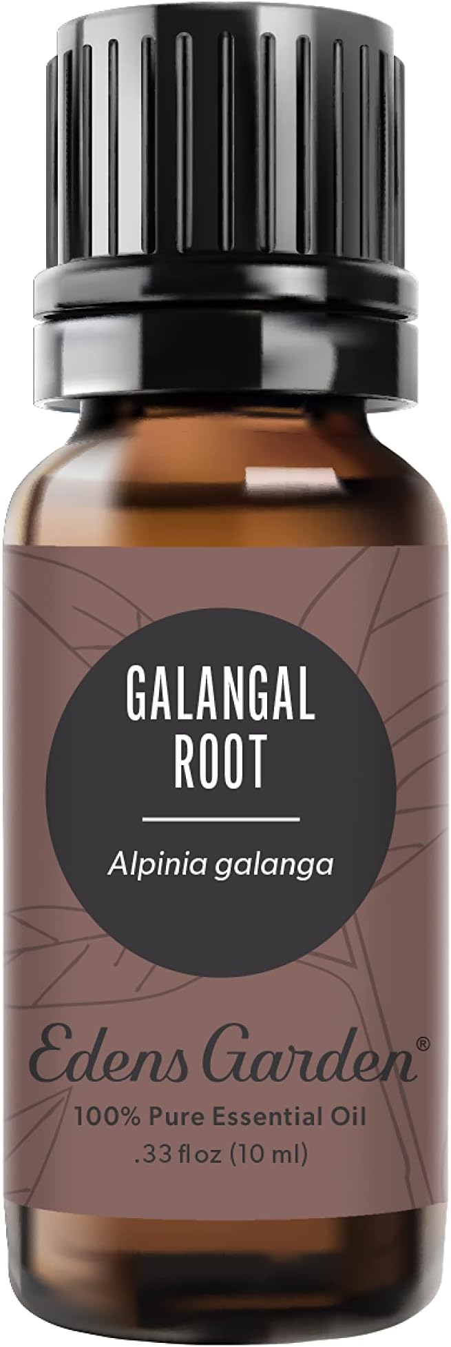 Edens Garden Galangal Root Essential Oil, 100% Pure Therapeutic Grade 10 ml by EdensGarden