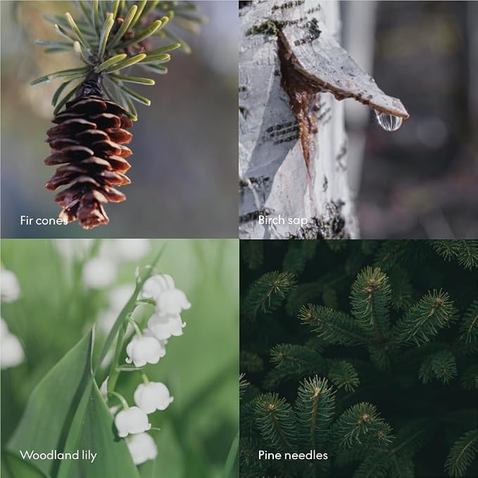 Skandinavisk SKOG ‘Forest’ Hand & Body Wash, Scent Notes: Pine Needles and Fir - Image 7