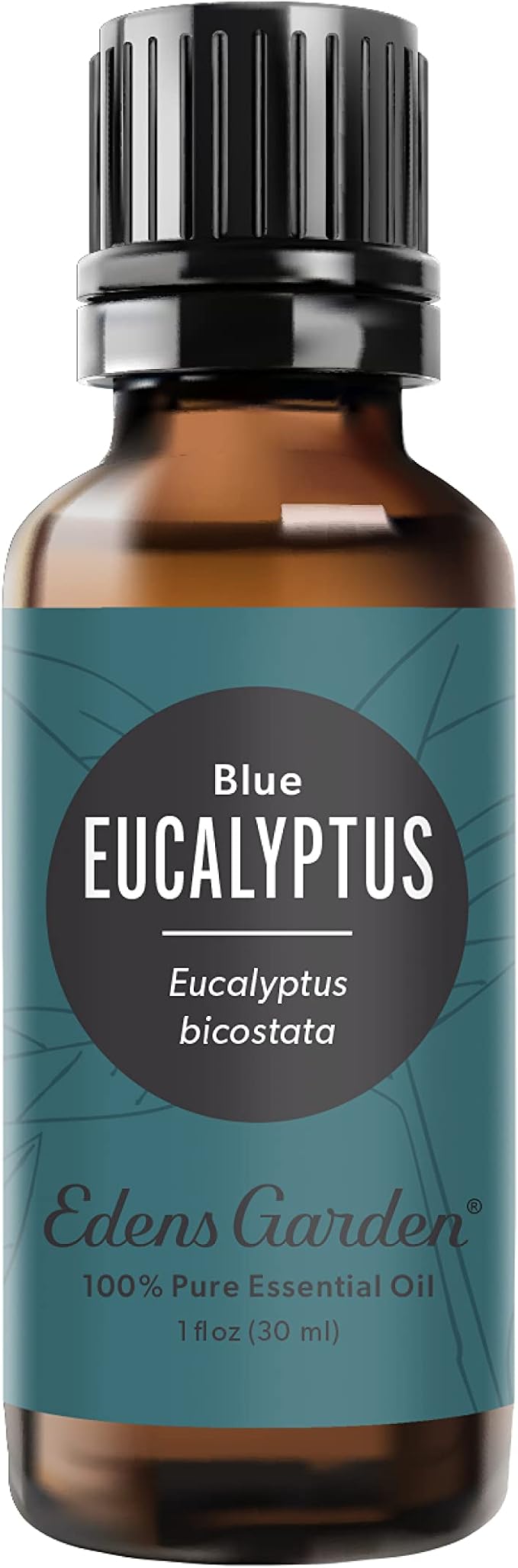 Edens Garden Eucalyptus- Blue Essential Oil- 100% Pure Premium Grade, by EdensGarden