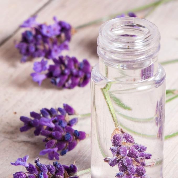 OPO Lavender Water Hydrosol - Image 4