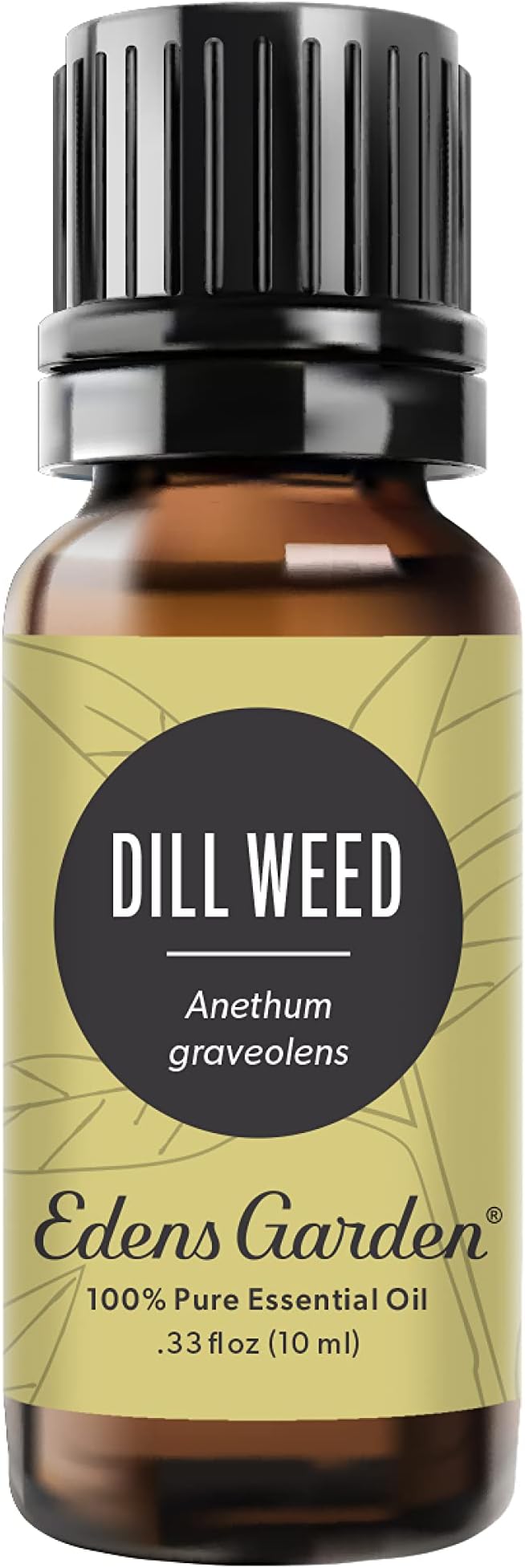 Edens Garden Dill Weed Essential Oil- 100% Pure Premium Grade, Therapeutic by EdensGarden