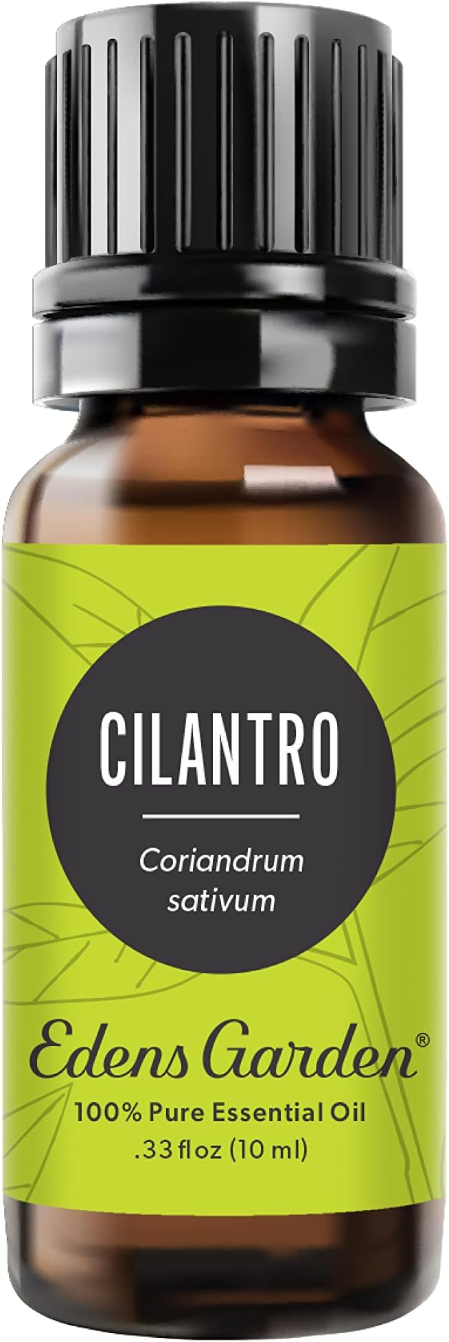Edens Garden Cilantro Essential Oil- 100% Pure Premium Grade, Therapeutic by EdensGarden
