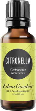 Edens Garden Citronella Essential Oil- 100% Pure Premium Grade, Therapeutic by EdensGarden
