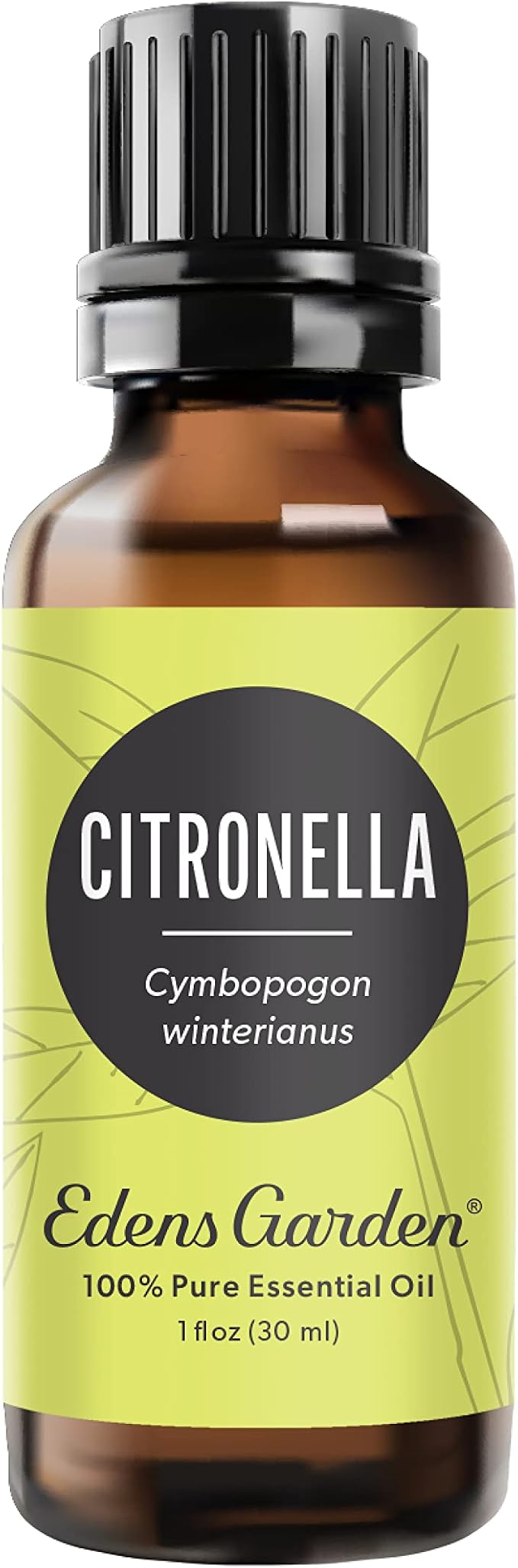 Edens Garden Citronella Essential Oil- 100% Pure Premium Grade, Therapeutic by EdensGarden