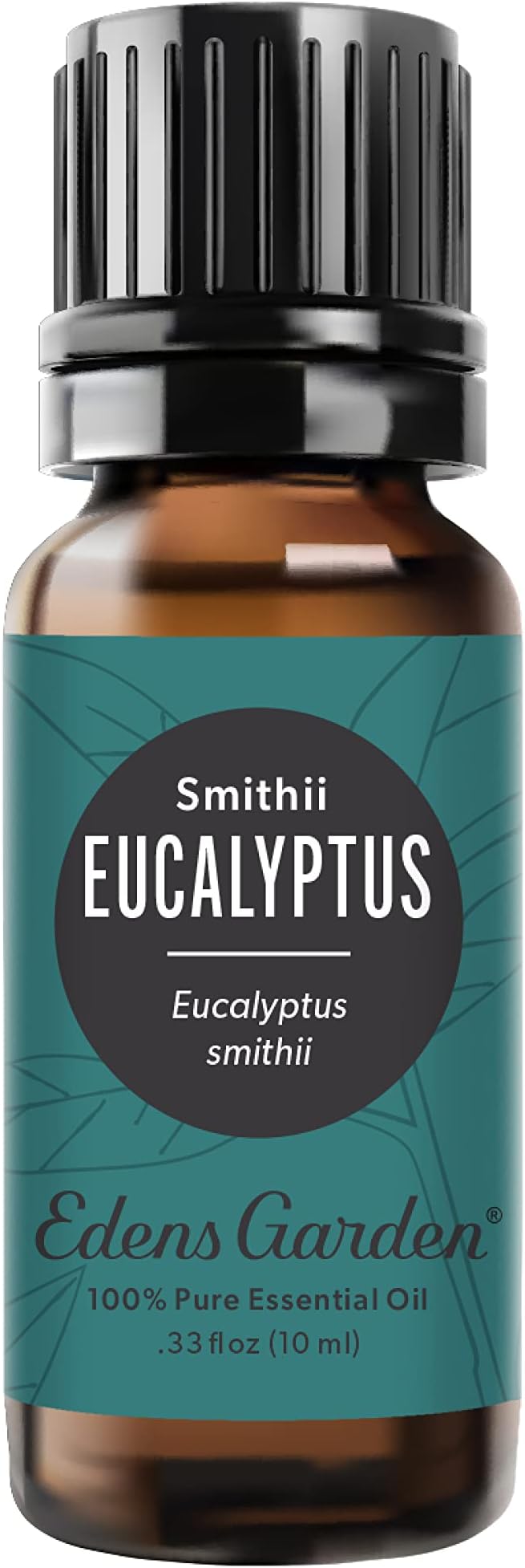 Edens Garden Eucalyptus- Smithii Essential Oil- 100% Pure Premium Grade by EdensGarden
