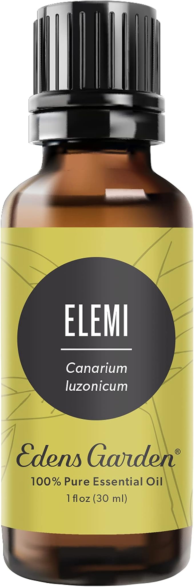 Edens Garden Elemi Essential Oil- 100% Pure Premium Grade, Therapeutic by EdensGarden