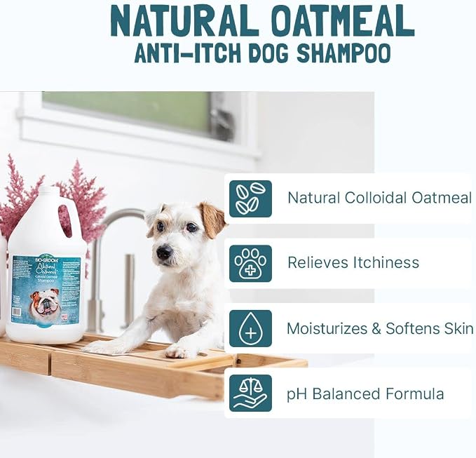 Bio-Groom Oatmeal Dog Shampoo - Image 5