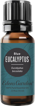 Edens Garden Eucalyptus- Blue Essential Oil- 100% Pure Premium Grade, by EdensGarden